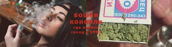 сатива Белоозёрский